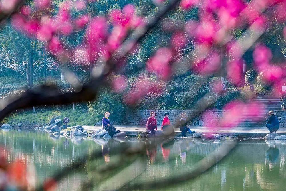 诏安县检察院：践行新时代“枫桥经验” 构建刑事和解“好屋边”