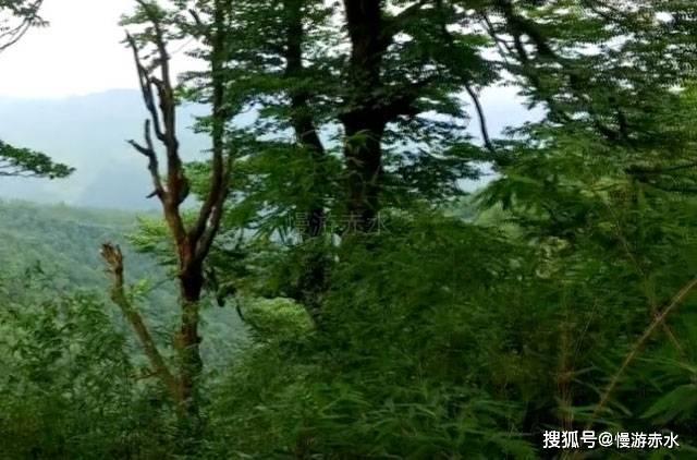 青银高速淄博辖段数字化保洁管理再上新台阶